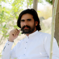 Muhammad Ghazanfar Abbas-Freelancer in Qasba Gujrat,Pakistan