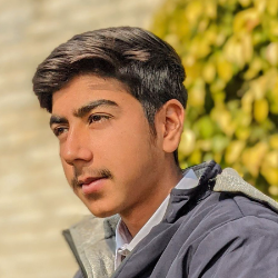 Muhammad Awais-Freelancer in Narowal,Pakistan