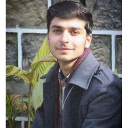 Hamza Khan-Freelancer in Abbottabad,Pakistan