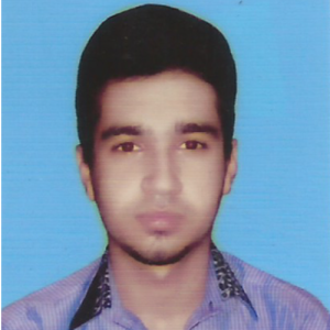 Hamza Shafique-Freelancer in Chakwal,Pakistan
