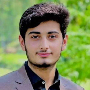 Sayed Hasnain-Freelancer in saidan,Pakistan