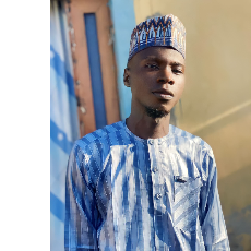Bilyaminu Abdulraman-Freelancer in Minna,Nigeria