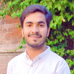 Muhammad Basit Ali-Freelancer in Lahore,Pakistan
