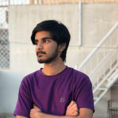 Hamza Qadir-Freelancer in Karachi,Pakistan