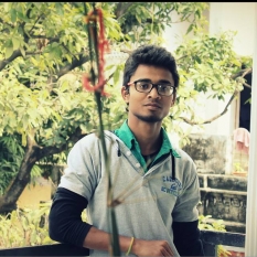 Satya Bhanu Singh-Freelancer in Noida,India