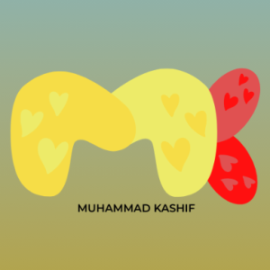 Muhammad Kashif-Freelancer in SANGHAR,Pakistan