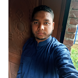 Md Ferdous-Freelancer in Kushtia Sadar,Bangladesh