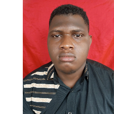 Kingsley George-Freelancer in Port Harcourt,Nigeria