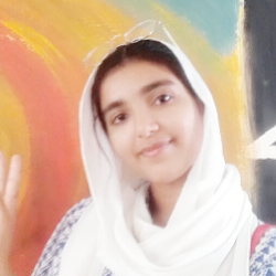 Noshaba Rehman-Freelancer in Rahim Yar khan,Pakistan