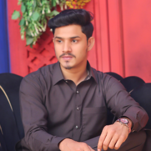 Muhammad Salman-Freelancer in Kasur,Pakistan