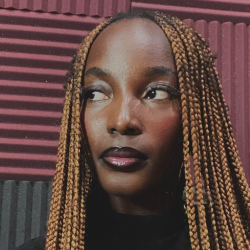 Adebola Faseluka-Freelancer in Abuja,Nigeria