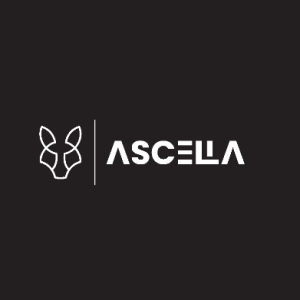 Ascella Infosec-Freelancer in Chandigarh,India