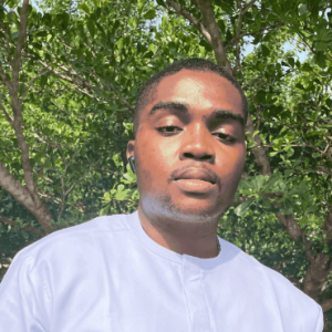 Victory Odumeh-Freelancer in Kano,Nigeria