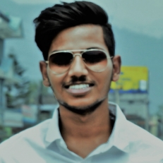 Harsh Singh-Freelancer in Navi Mumbai,USA