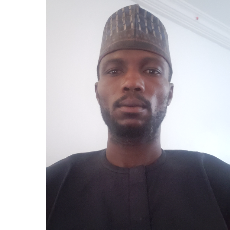Abdulrahman Sale-Freelancer in Abuja,Nigeria