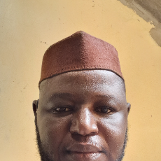 Tajeeree Maidodo-Freelancer in Kano,Nigeria