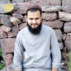 Syed Talha Shah-Freelancer in Jhang Sadr,Pakistan