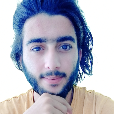 Hamza Malik-Freelancer in Azad kashmir,Pakistan