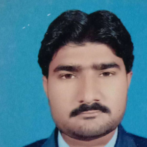 Sajid Hussain-Freelancer in Shahpur Saddar,Pakistan
