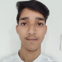 Mohammed Hussain-Freelancer in Nagaur,India