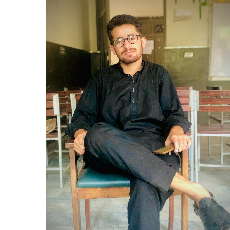 Baqir Ali-Freelancer in Faisalabad,Pakistan