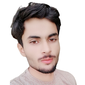 Naqqash Khalil-Freelancer in Islamabad,Pakistan