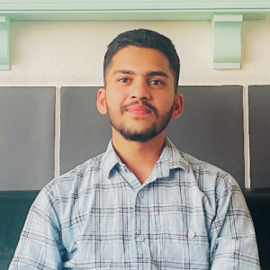 Rahul Singh Rawat-Freelancer in Chandigarh,India