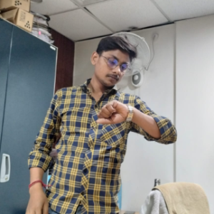 Ankit Kumar-Freelancer in patna,India