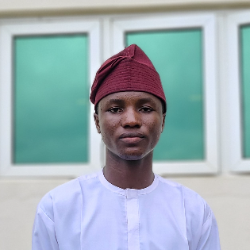 Emmanuel Olalere-Freelancer in Abeokuta,Nigeria