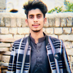 Malik Zia-Freelancer in Jhelum,Pakistan