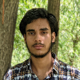 Danish Hamid-Freelancer in Delhi,India
