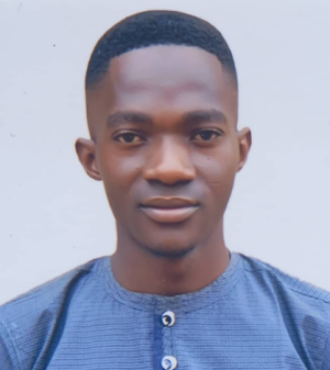 Samson Oyegbile-Freelancer in Ibadan,Nigeria