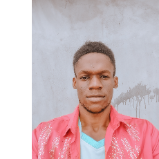 Chidubem Obiamalu-Freelancer in Abuja,Nigeria