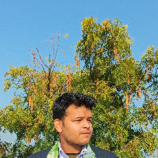 Prince Sharma-Freelancer in Delhi,India