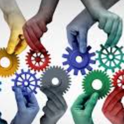 bob A-Freelancer in HOUSTON,USA