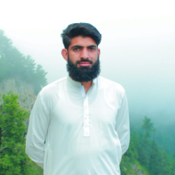 Muhammad Rizwan-Freelancer in ABBOTABAD,Pakistan