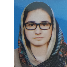 Laiba Javed-Freelancer in New Mirpur,Pakistan
