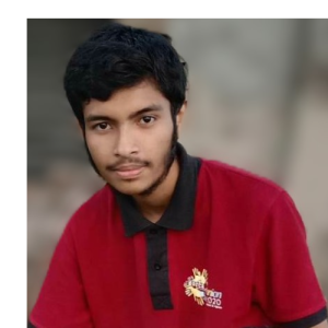 Sheikh Hasan Talha-Freelancer in Dhaka,Bangladesh