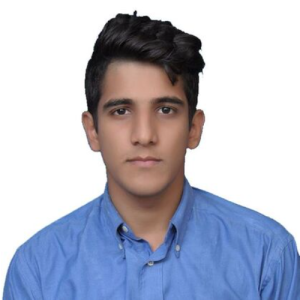 Hozyfa B. Nasir-Freelancer in Lahore,Pakistan
