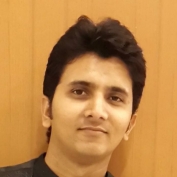 Vinay Bhavsar-Freelancer in Indore,India