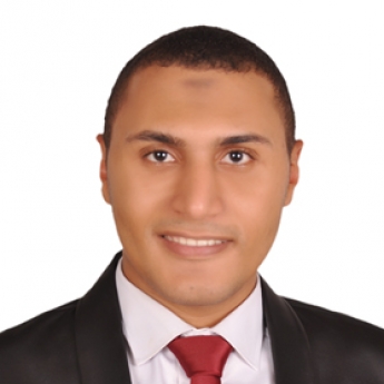 Ahmed Shafik-Freelancer in Dekerness,Egypt