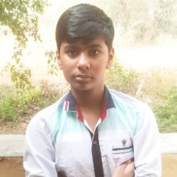 Chandervardhan Singh Shekhawat-Freelancer in Bikaner,India