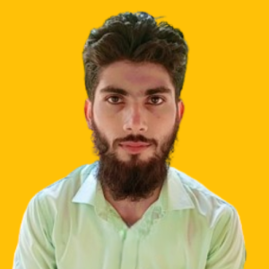 Noman Ahmad-Freelancer in Sheikhupra,Pakistan