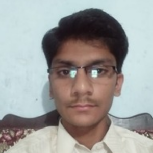 Muhammad Amin-Freelancer in Faisalabad,Pakistan
