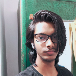 Aryan Ranjan-Freelancer in Jamshedpur,India