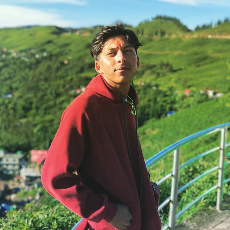 Bidhan Bhattarai-Freelancer in Birtamod,Nepal