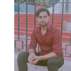 Lalit Upraity-Freelancer in Agra,India