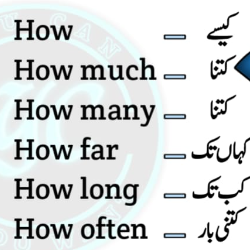 Rahat Raina Asif Khan-Freelancer in Karachi,Pakistan