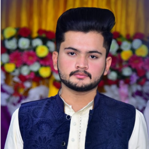 Nauman Ali Sultan-Freelancer in Faisalabad,Pakistan