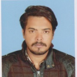 Vikash - Kumar-Freelancer in Ranchi,India